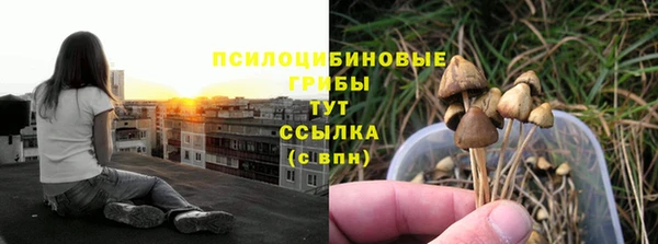 кокс Аркадак
