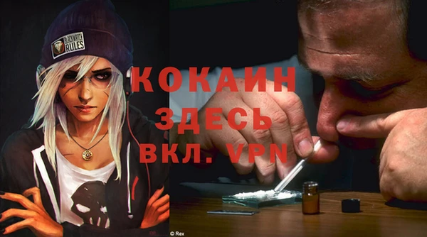 трава Арсеньев