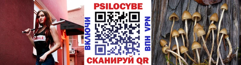 цены   Себеж  Галлюциногенные грибы Psilocybine cubensis 